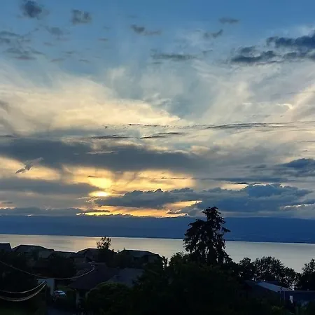 Cosy Avec Vue Sur Le Leman *
