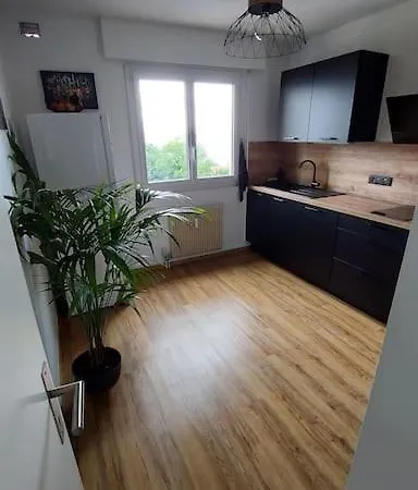 Cosy Avec Vue Sur Le Leman Apartament